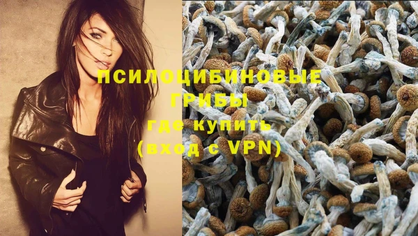 бошки Беломорск